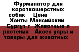 Фурминатор для короткошерстных собак  › Цена ­ 1 500 - Ханты-Мансийский, Сургут г. Животные и растения » Аксесcуары и товары для животных   
